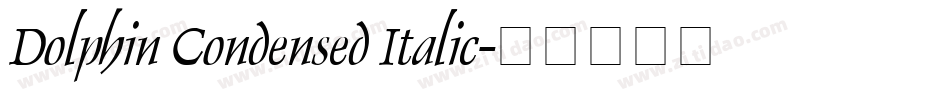 Dolphin Condensed Italic字体转换